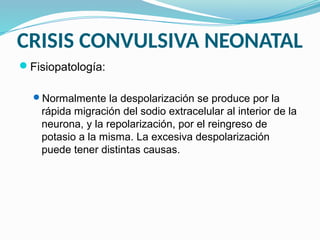 CRISIS CONVULSIVA NEONATAL
Fisiopatología:
Normalmente la despolarización se produce por la
rápida migración del sodio extracelular al interior de la
neurona, y la repolarización, por el reingreso de
potasio a la misma. La excesiva despolarización
puede tener distintas causas.
 