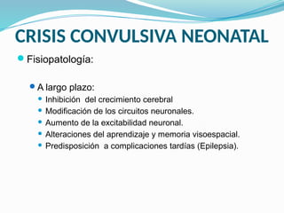 CRISIS CONVULSIVA NEONATAL
Fisiopatología:
A largo plazo:
 Inhibición del crecimiento cerebral
 Modificación de los circuitos neuronales.
 Aumento de la excitabilidad neuronal.
 Alteraciones del aprendizaje y memoria visoespacial.
 Predisposición a complicaciones tardías (Epilepsia).
 