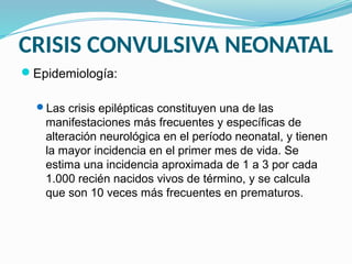 CRISIS CONVULSIVA NEONATAL
Epidemiología:
Las crisis epilépticas constituyen una de las
manifestaciones más frecuentes y específicas de
alteración neurológica en el período neonatal, y tienen
la mayor incidencia en el primer mes de vida. Se
estima una incidencia aproximada de 1 a 3 por cada
1.000 recién nacidos vivos de término, y se calcula
que son 10 veces más frecuentes en prematuros.
 