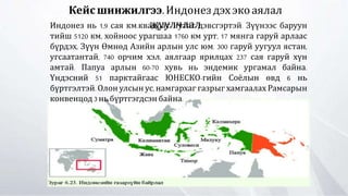 Кейсшинжилгээ.Индонездэхэкоаялал
жуулчлалИндонез нь 1,9 сая км.квадрат нутаг дэвсгэртэй. Зүүнээс баруун
тийш 5120 км, хойноос урагшаа 1760 км урт, 17 мянга гаруй арлаас
бүрдэх, Зүүн Өмнөд Азийн арлын улс юм. 300 гаруй уугуул ястан,
угсаатантай, 740 орчим хэл, аялгаар ярилцах 237 сая гаруй хүн
амтай. Папуа арлын 60-70 хувь нь эндемик ургамал байна.
Үндэсний 51 парктайгаас ЮНЕСКО-гийн Соёлын өвд 6 нь
бүртгэлтэй. Олон улсын ус, намгархаг газрыг хамгаалах Рамсарын
конвенцод3нь бүртгэгдсэн байна.
 