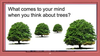 25
What comes to your mind
when you think about trees?
 