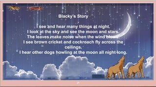 29
Blacky’s Story
I see and hear many things at night.
I look at the sky and see the moon and stars.
The leaves make noise when the wind blows.
I see brown cricket and cockroach fly across the
ceilings.
I hear other dogs howling at the moon all night long.
 