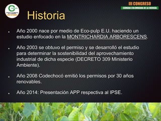 Historia
Año 2000 nace por medio de Eco-pulp E.U. haciendo un
estudio enfocado en la MONTRICHARDIA ARBORESCENS.
Año 2003 se obtuvo el permiso y se desarrolló el estudio
para determinar la sostenibilidad del aprovechamiento
industrial de dicha especie (DECRETO 309 Ministerio
Ambiente).
Año 2008 Codechocó emitió los permisos por 30 años
renovables.
Año 2014: Presentación APP respectiva al IPSE.
III CONGRESO
CÁMARA COLOMBIANA DE LA ENERGÍA
 
