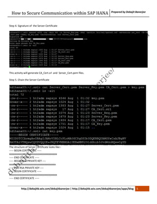 SSL Configuration within SAP HANA | PDF | Computer Software and ...