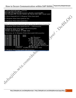 SSL Configuration within SAP HANA | PDF
