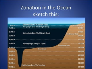 Zonation in the Ocean
sketch this:
 