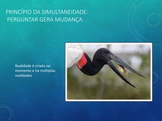 PRINCÍPIO DA SIMULTANEIDADE:
PERGUNTAR GERA MUDANÇA
Realidade é criada no
momento e há múltiplas
realidades
 