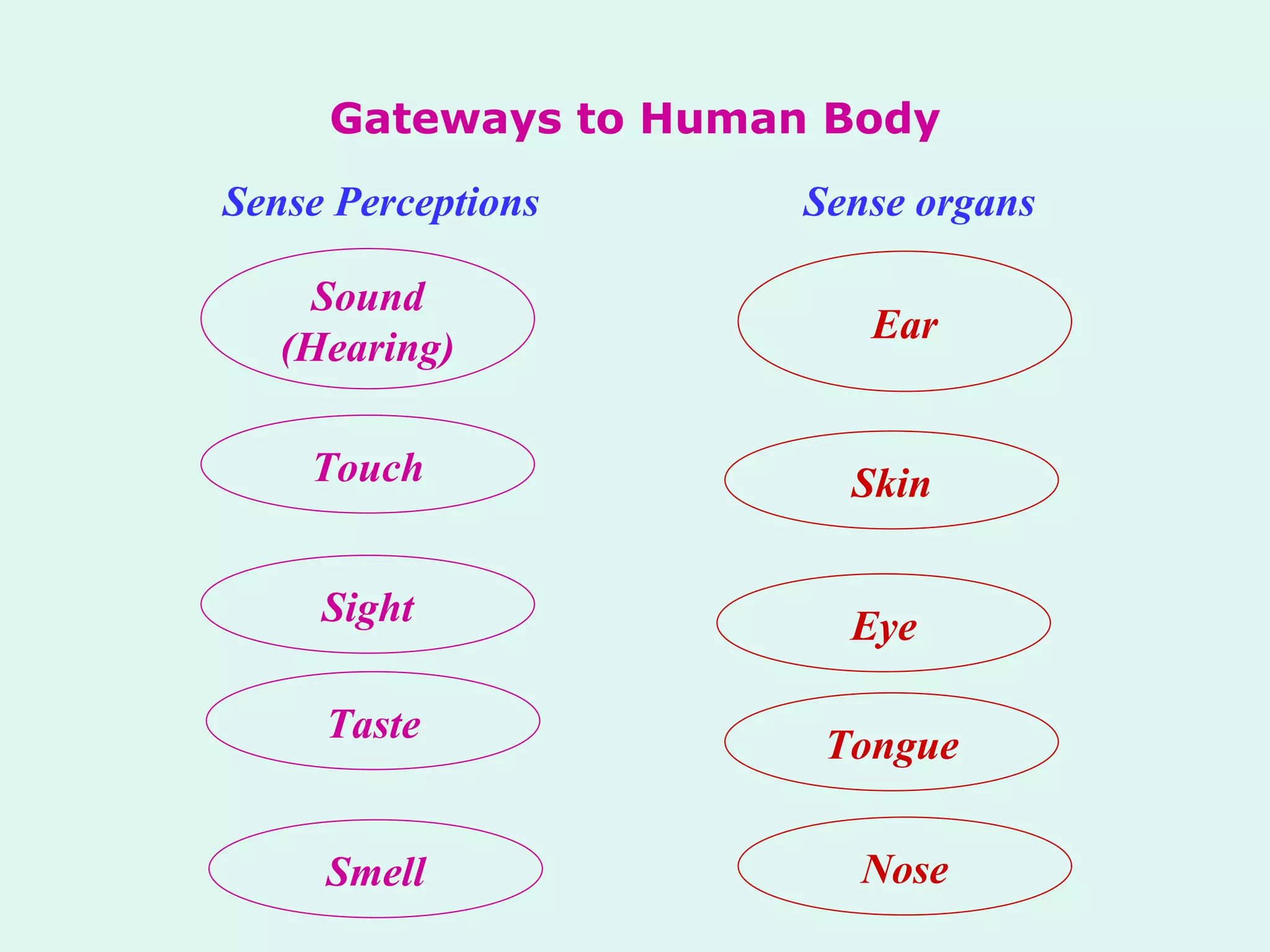 Gateways to Human Body Sense Perceptions Sense organs Sound (Hearing) Touch Ear Sight Eye Skin Tongue Taste Nose Smell 