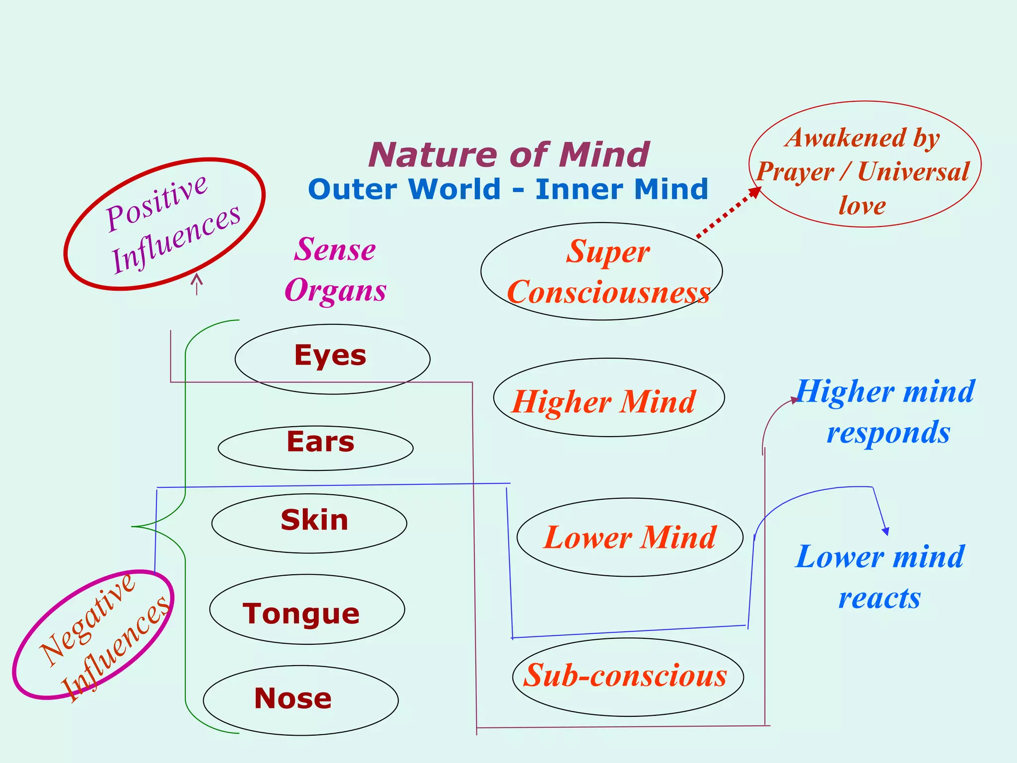 Nature of Mind Outer World - Inner Mind Positive Influences Sense Organs Eyes Ears Skin Tongue Nose Super Consciousness Higher Mind Lower Mind Sub-conscious Higher mind responds Lower mind reacts Negative Influences Awakened by Prayer / Universal love 