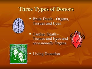 Three Types of Donors Brain Death - Organs, Tissues and Eyes Cardiac Death - Tissues and Eyes and  occasionally  Organs Living Donation  