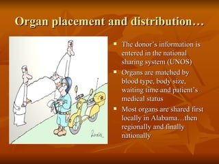 Organ placement and distribution… The donor’s information is entered in the national sharing system (UNOS) Organs are matched by blood type, body size, waiting time and patient’s medical status Most organs are shared first locally in Alabama…then regionally and finally nationally 