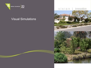 Visual Simulations   