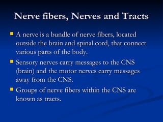 Nerve fibers, Nerves and Tracts ,[object Object],[object Object],[object Object]
