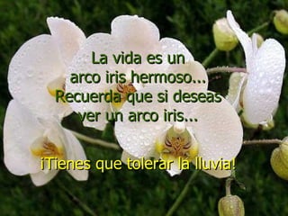 La vida es un  arco iris hermoso...  Recuerda que si deseas  ver un arco iris...  ¡Tienes que tolerar la lluvia!  