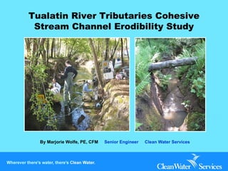 By Marjorie Wolfe, PE, CFM  Senior Engineer  Clean Water Services Tualatin River Tributaries Cohesive Stream Channel Erodibility Study 
