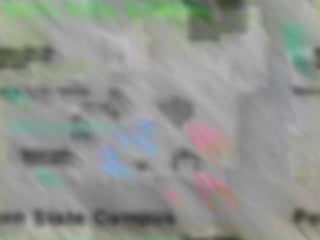 Nittany Lion Inn
•Council Meetings
•Banquets
Alumni Center
•Evening Mixers
Beaver Stadium
• Tuesday Banquet
Tailgate Party and
Old-Fashioned Ice
Cream Social and
Sock-Hop
Banquet & Social Venues
Penn State Campus
 