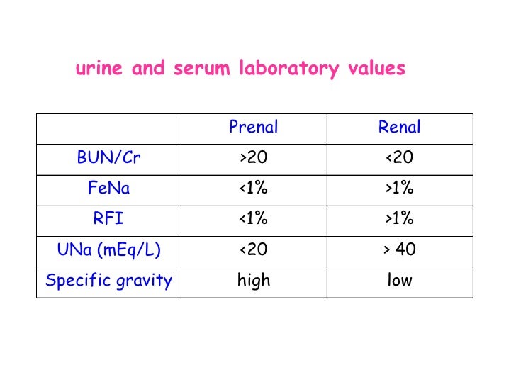Acute Renal Failure acute-renal-failure