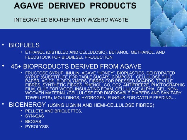 Agave Project Presentation Ppt