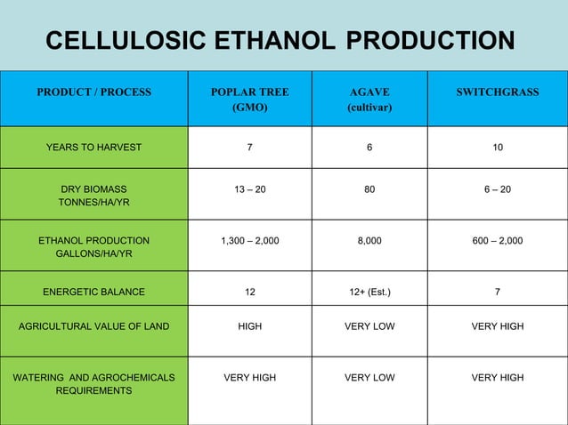 Agave Project Presentation Ppt