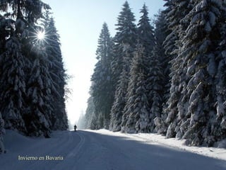 Invierno en Bavaria 
