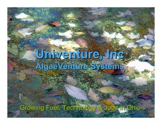 Univenture, Inc
     AlgaeVenture Systems



Growing Fuel, Technology & Jobs in Ohio
                                  June 24, 2008
 