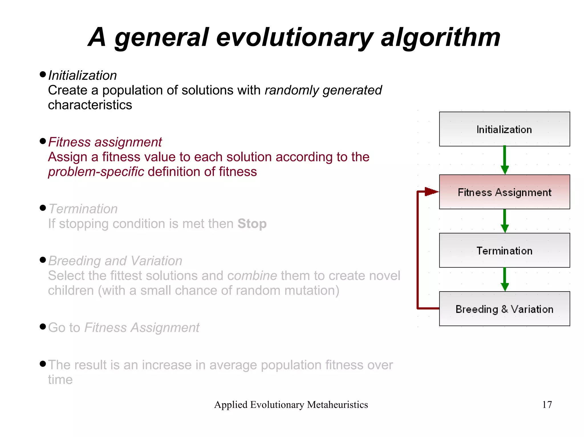 A general evolutionary algorithm Initialization Create a population of solutions with  randomly generated  characteristics Fitness assignment Assign a fitness value to each solution according to the  problem-specific  definition of fitness   Termination If stopping condition is met then  Stop Breeding and Variation Select the fittest solutions and c ombine  them to create novel children (with a small chance of random mutation)   Go to  Fitness Assignment  The result is an increase in average population fitness over time 
