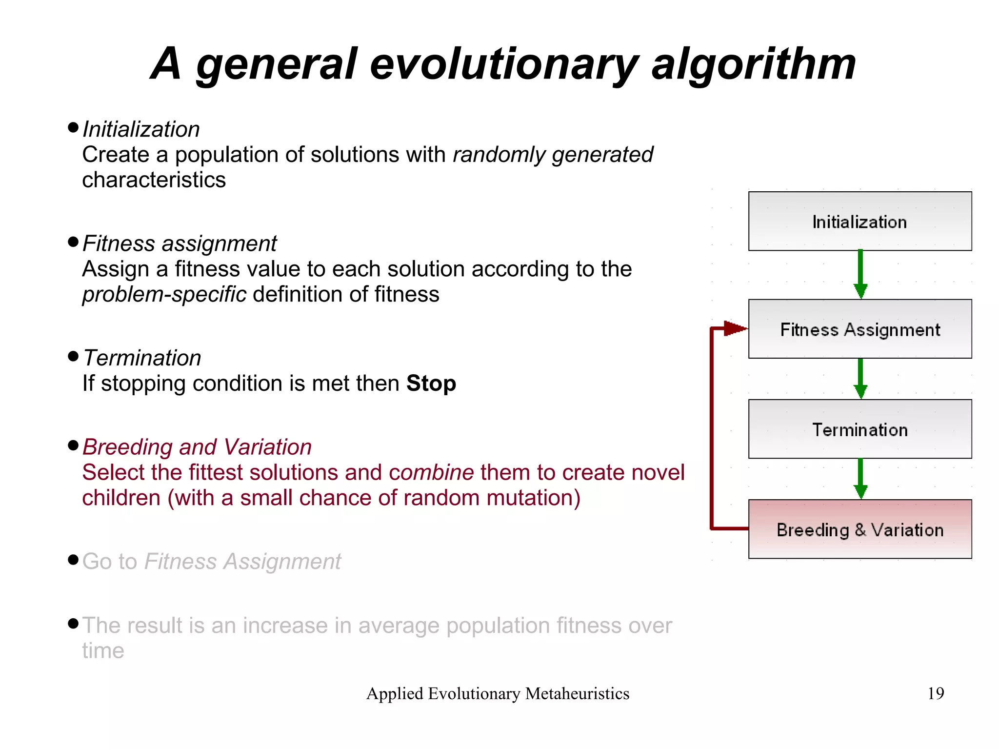 A general evolutionary algorithm Initialization Create a population of solutions with  randomly generated  characteristics Fitness assignment Assign a fitness value to each solution according to the  problem-specific  definition of fitness  Termination If stopping condition is met then  Stop Breeding and Variation Select the fittest solutions and c ombine  them to create novel children (with a small chance of random mutation)   Go to  Fitness Assignment  The result is an increase in average population fitness over time 