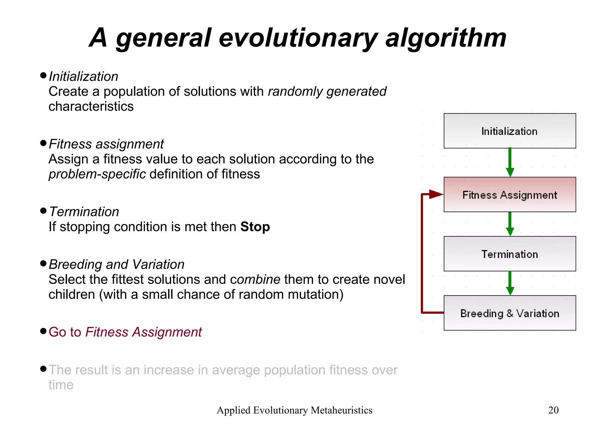 A general evolutionary algorithm Initialization Create a population of solutions with  randomly generated  characteristics Fitness assignment Assign a fitness value to each solution according to the  problem-specific  definition of fitness  Termination If stopping condition is met then  Stop Breeding and Variation Select the fittest solutions and c ombine  them to create novel children (with a small chance of random mutation)   Go to  Fitness Assignment  The result is an increase in average population fitness over time 