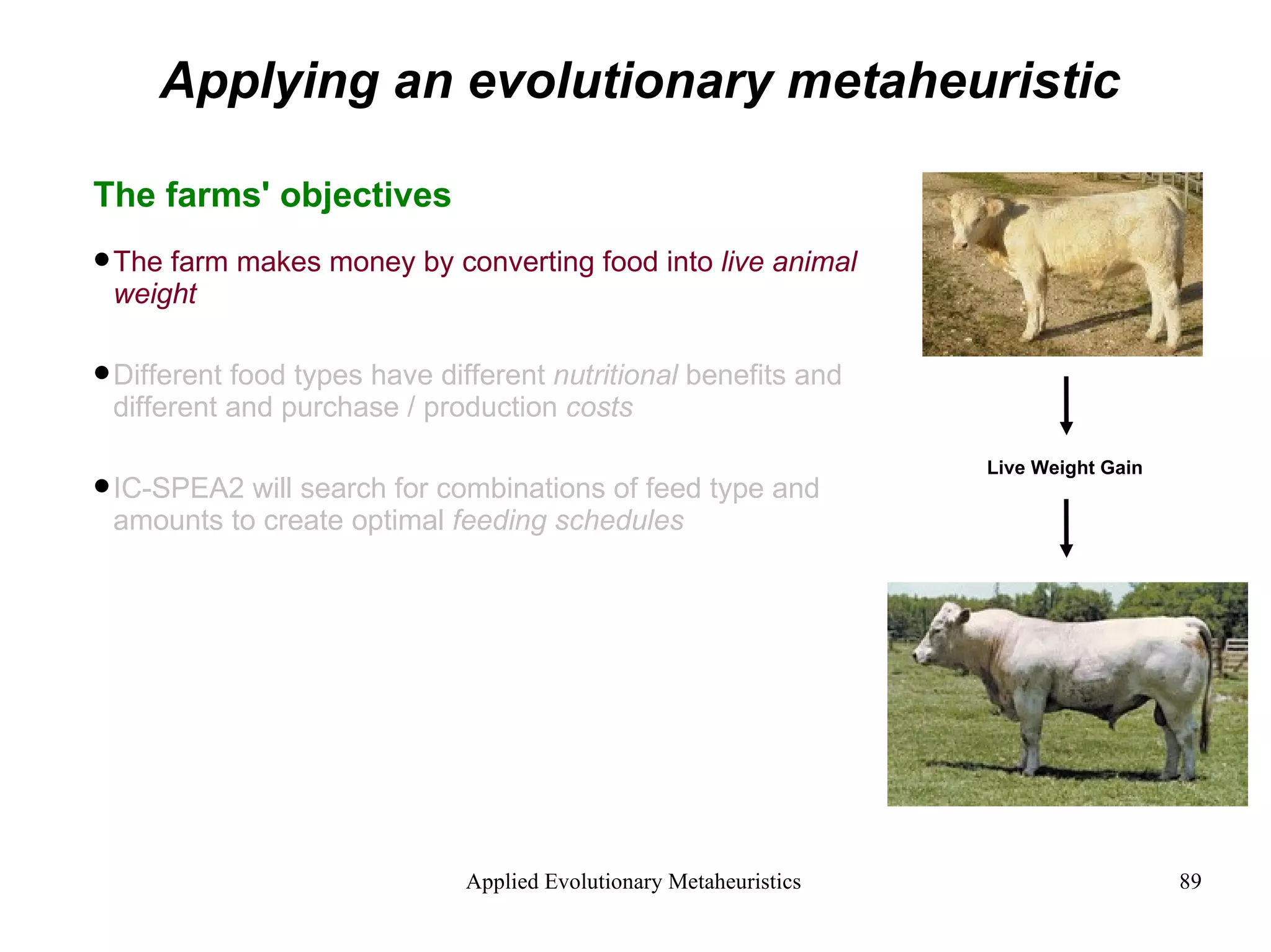 Applying an evolutionary metaheuristic The farms' objectives The farm makes money by converting food into  live animal weight Different food types have different  nutritional  benefits and different and purchase / production  costs IC-SPEA2 will search for combinations of feed type and amounts to create optimal  feeding schedules Live Weight Gain 