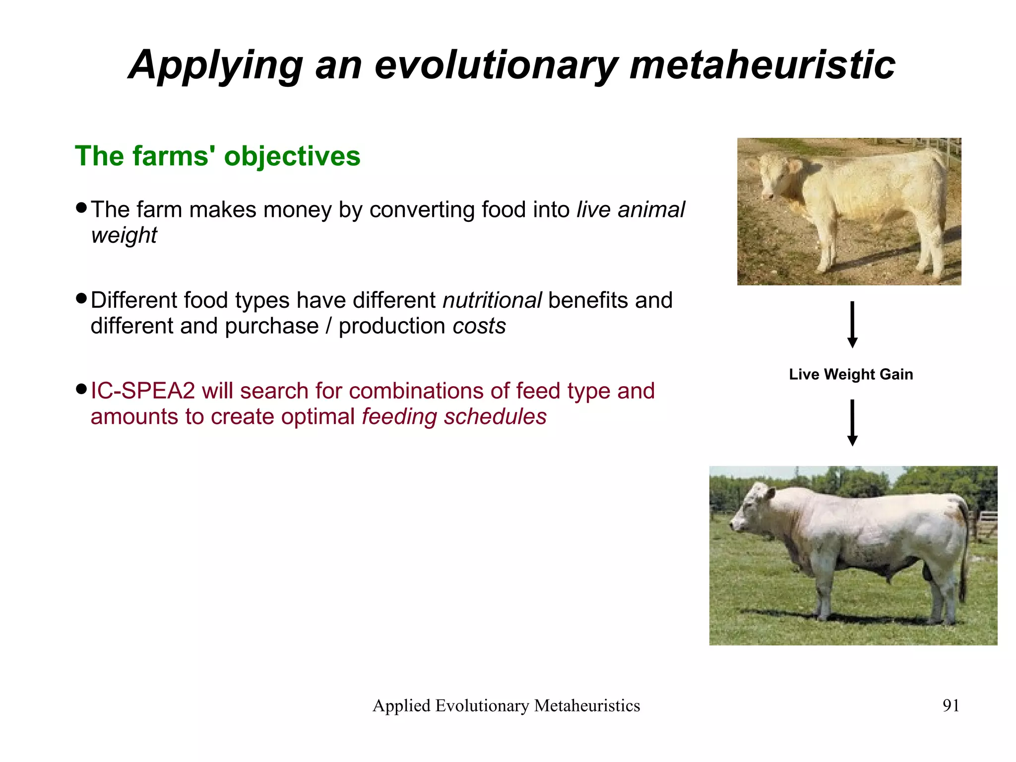 Applying an evolutionary metaheuristic The farms' objectives The farm makes money by converting food into  live animal weight Different food types have different  nutritional  benefits and different and purchase / production  costs IC-SPEA2 will search for combinations of feed type and amounts to create optimal  feeding schedules Live Weight Gain 