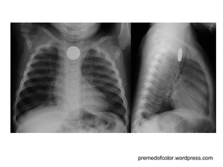 premedofcolor.wordpress.com 