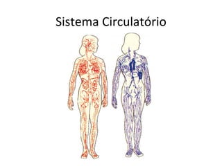 Sistema Circulatório 