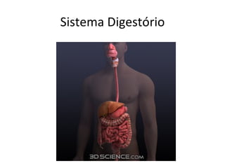 Sistema Digestório 
