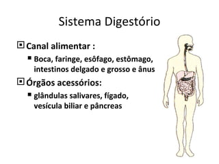 Sistema Digestório Canal alimentar : Boca, faringe, esôfago, estômago, intestinos delgado e grosso e ânus Órgãos acessórios: glândulas salivares, fígado, vesícula biliar e pâncreas 