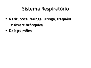 Sistema Respiratório Nariz, boca, faringe, laringe, traquéia  e árvore brônquica  Dois pulmões 