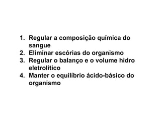 Regular a composição química do sangue Eliminar escórias do organismo Regular o balanço e o volume hidro eletrolítico Manter o equilíbrio ácido-básico do organismo 