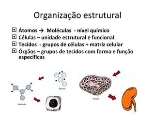 Organização estrutural Átomos ->  Moléculas  - nível químico  Células – unidade estrutural e funcional Tecidos  - grupos de células + matriz celular  Órgãos – grupos de tecidos com forma e função específicas 