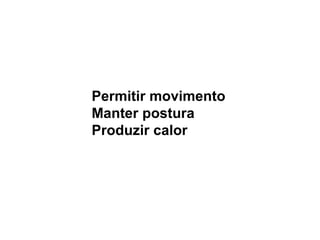 Permitir movimento Manter postura Produzir calor 