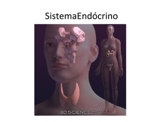 SistemaEndócrino 