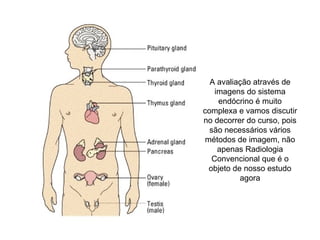 A avaliação através de imagens do sistema endócrino é muito complexa e vamos discutir no decorrer do curso, pois são necessários vários métodos de imagem, não apenas Radiologia Convencional que é o objeto de nosso estudo agora 