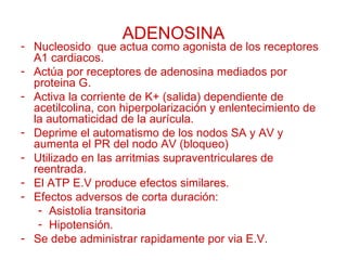 ADENOSINA Nucleosido  que actua como agonista de los receptores A1 cardiacos. Actúa por receptores de adenosina mediados por proteina G. Activa la corriente de K+ (salida) dependiente de acetilcolina, con hiperpolarización y enlentecimiento de la automaticidad de la aurícula.  Deprime el automatismo de los nodos SA y AV y aumenta el PR del nodo AV (bloqueo) Utilizado en  las  arritmias supraventriculares de reentrada. El ATP E.V produce efectos similares. Efectos adversos de corta duración: Asistolia transitoria Hipotensión. Se debe administrar rapidamente por via E.V. 