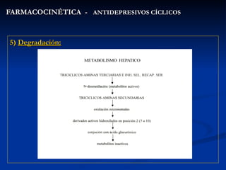 FARMACOCINÉTICA  -  ANTIDEPRESIVOS CÍCLICOS 5)  Degradación: 