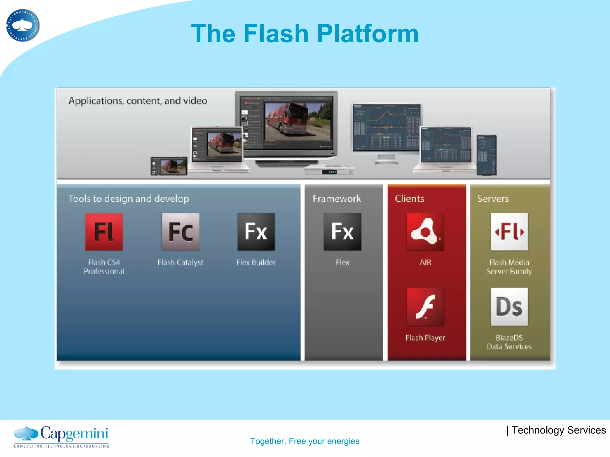 The Flash Platform 