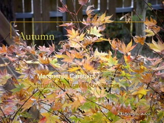 Autumn Marguerite Carstairs http://Activetravel.pbwiki.com   