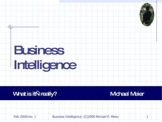 Business Intelligence What is it—really? Michael Meier 