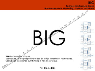 Aim  BIG . Be  BIG . BIG  is a measure of Scale Scale gives us the perspective to see all things in terms of relative size.  Scale helps to expands our thinking in non-linear ways. BIG 