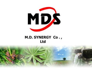 M.D. SYNERGY  Co . , Ltd  