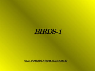 BIRDS-1 www.slideshare.net/gabrielvoiculescu 