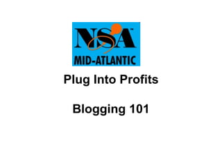 Plug Into Profits Blogging 101 