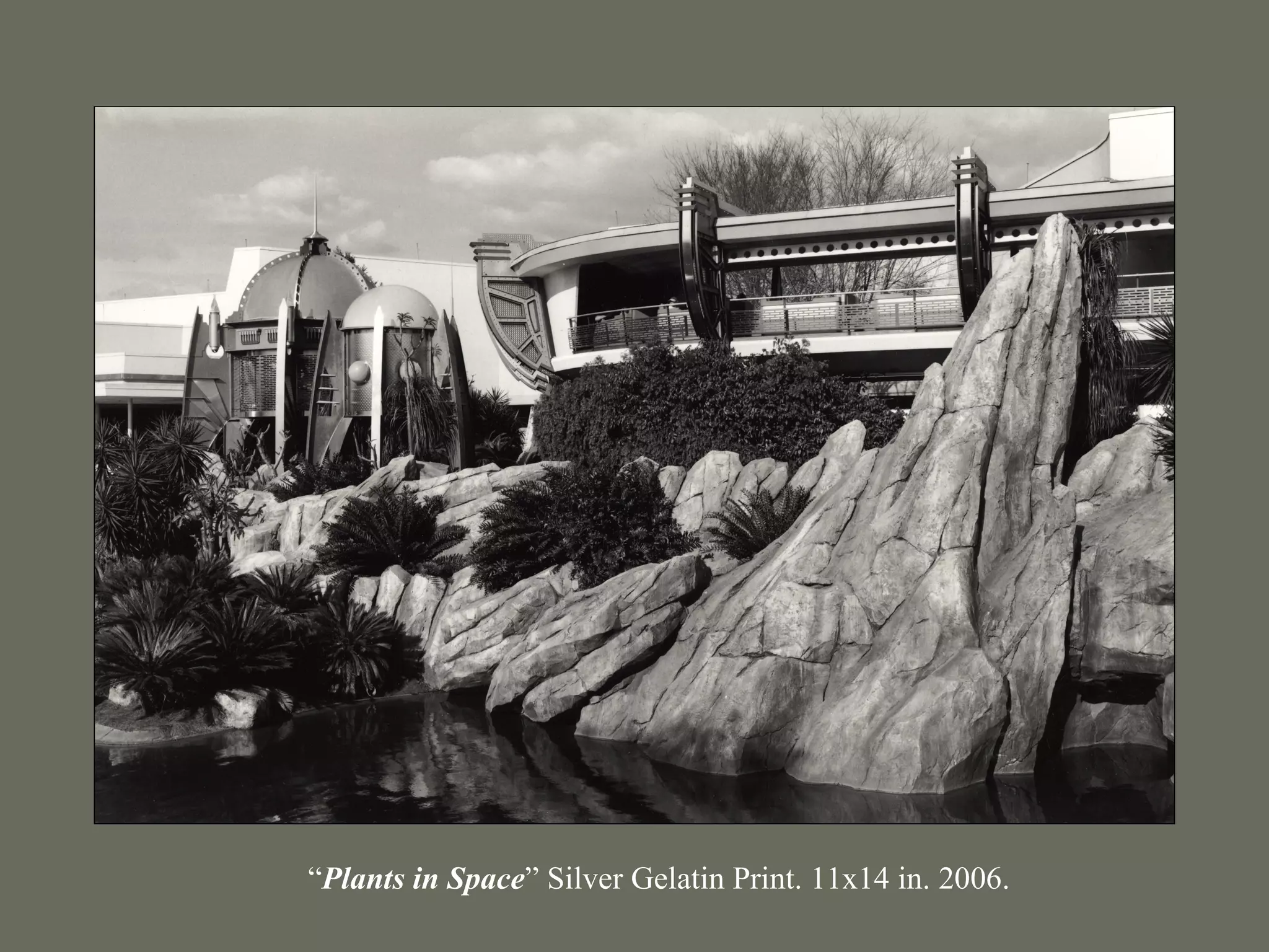 “Plants in Space” Silver Gelatin Print. 11x14 in. 2006.
 